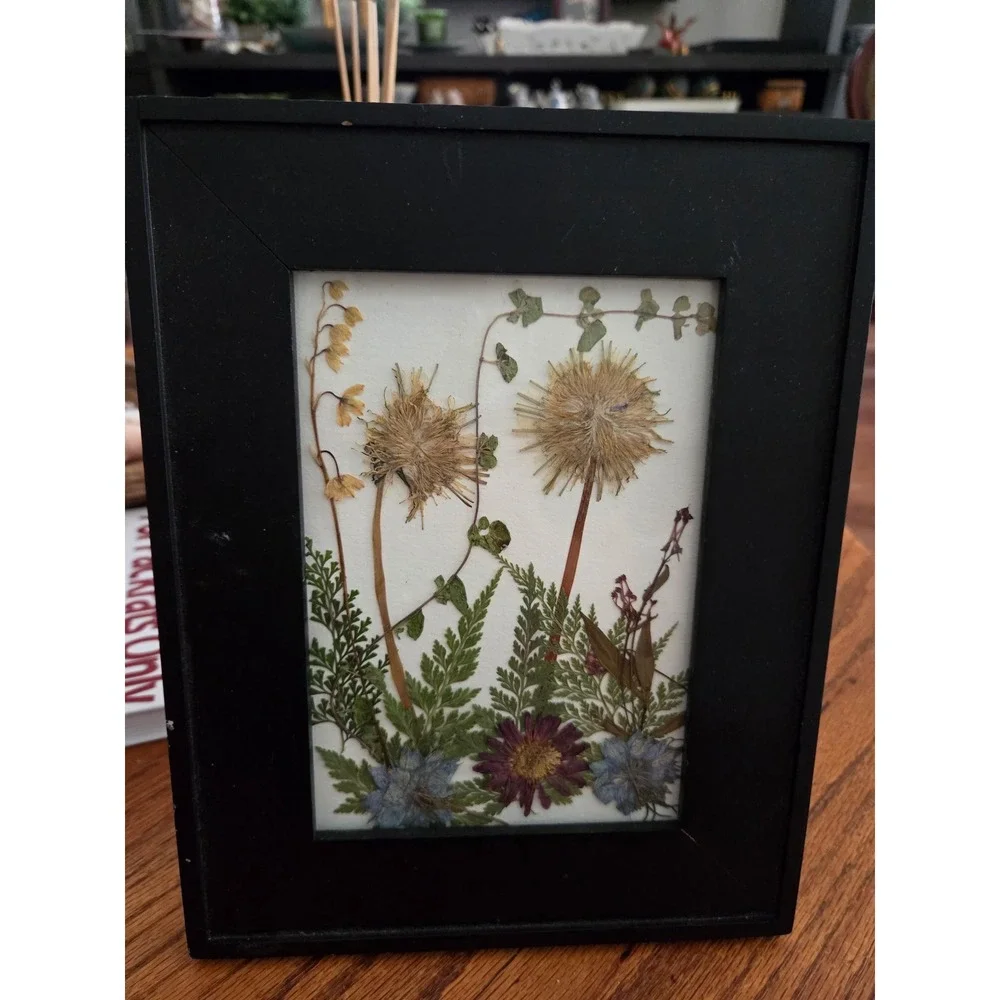 Pressed Flower Art 5x7 Black Wood Frame Dandelions Ferns Wildflowers Botanical